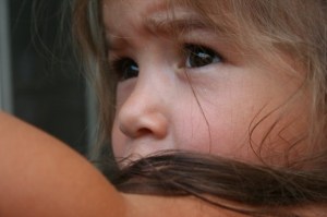 The little eyes always watching...