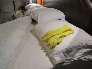 Jesus said to him, "The foxes have holes and the birds of the air have nests, but the Son of Man has nowhere to lay His head." Matthew 8:20