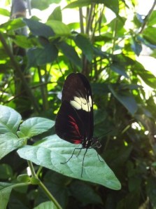 I am a new creation in Jesus Christ!!