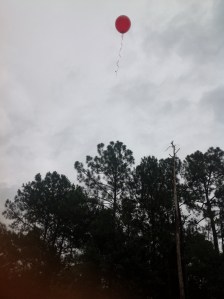 The wind blows where it wishes and you hear the sound of it, but do not know where it comes from and where it is going; so is everyone who is born of the Spirit."